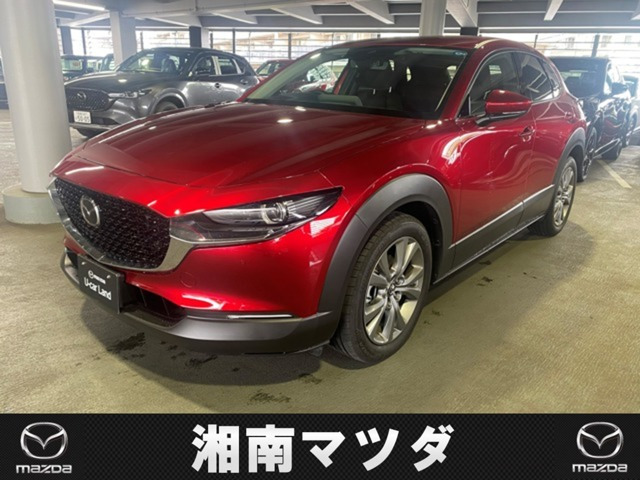 CX-302.0 20S プロアクティブ