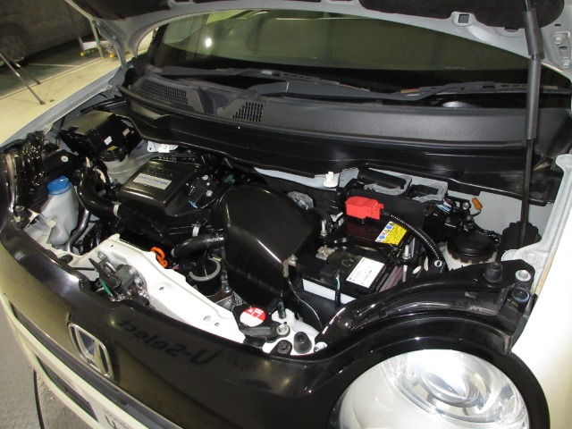 N-ONEG