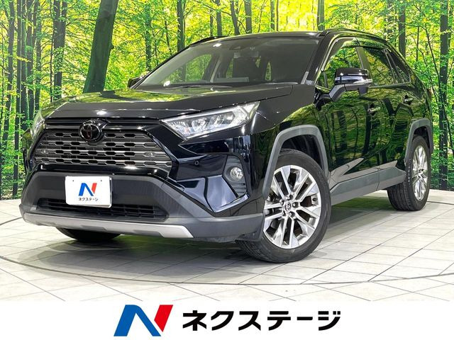 RAV42.0 G Zパッケージ 4WD