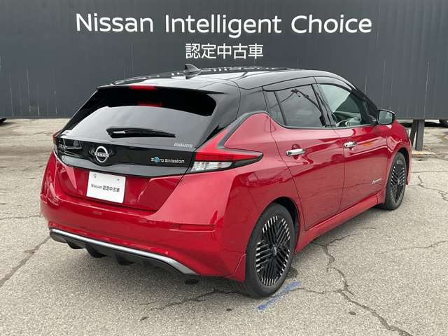 リーフG