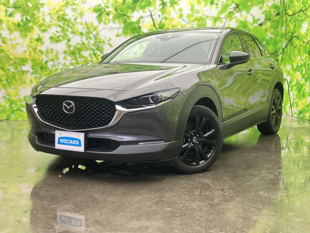 CX-302.0 20S ブラックトーンエディション