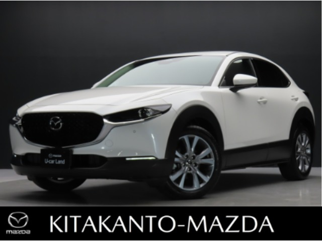 CX-302.0 20S Sパッケージ