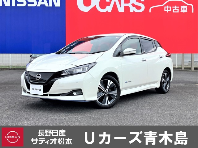 リーフe+ G