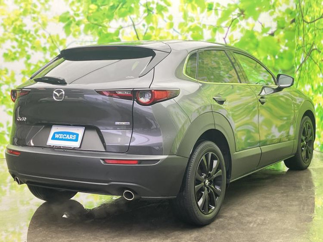 CX-302.0 20S ブラックトーンエディション