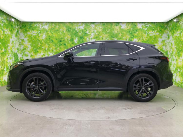 NX350h バージョンL