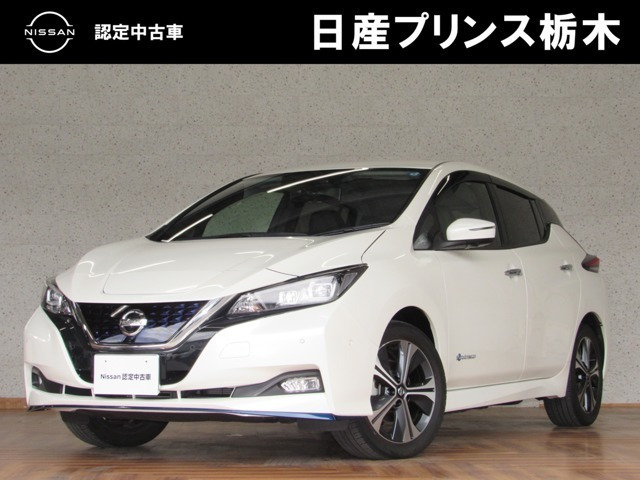 リーフe+ G
