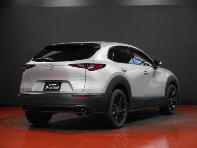 CX-30