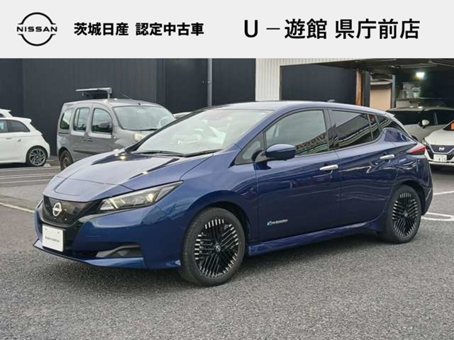 リーフ