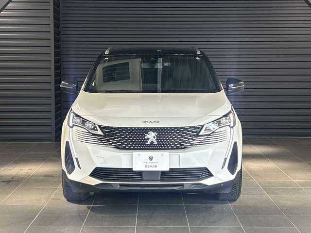3008GT