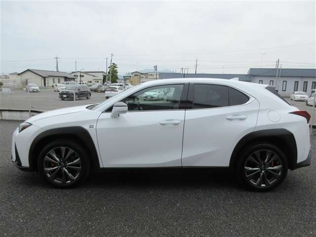 UX250h Fスポーツ