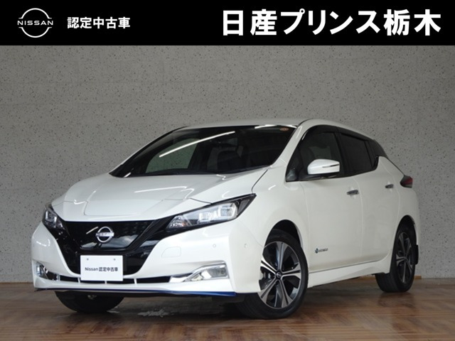 リーフe+ G