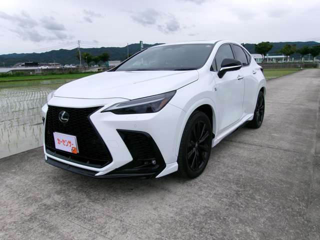 NX350h Fスポーツ