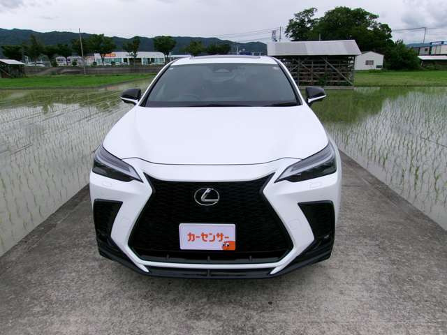 NX350h Fスポーツ