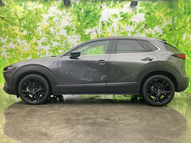 CX-302.0 20S ブラックトーンエディション