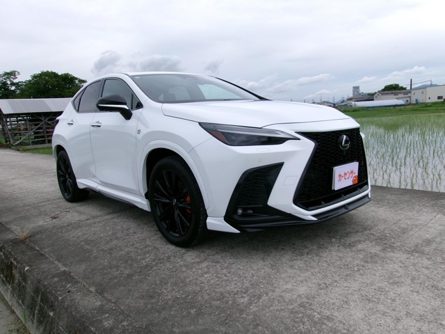 NX350h Fスポーツ