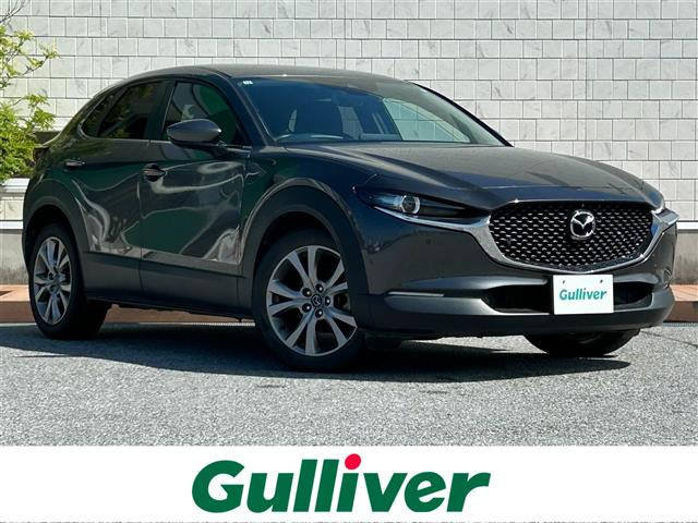 CX-302.0 20S