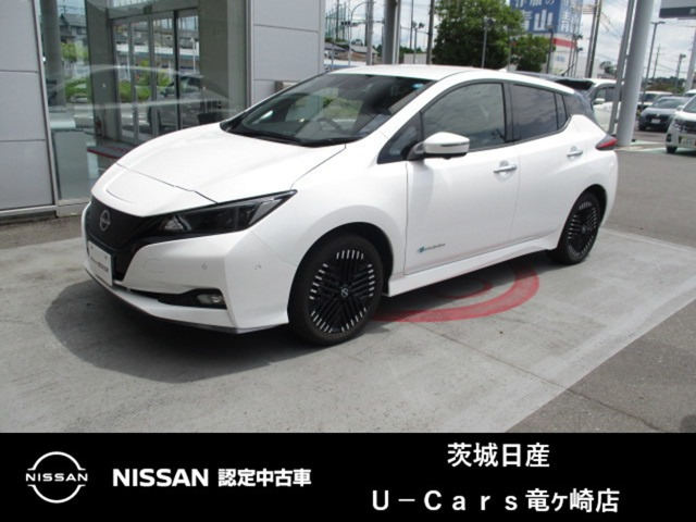 リーフe+ G