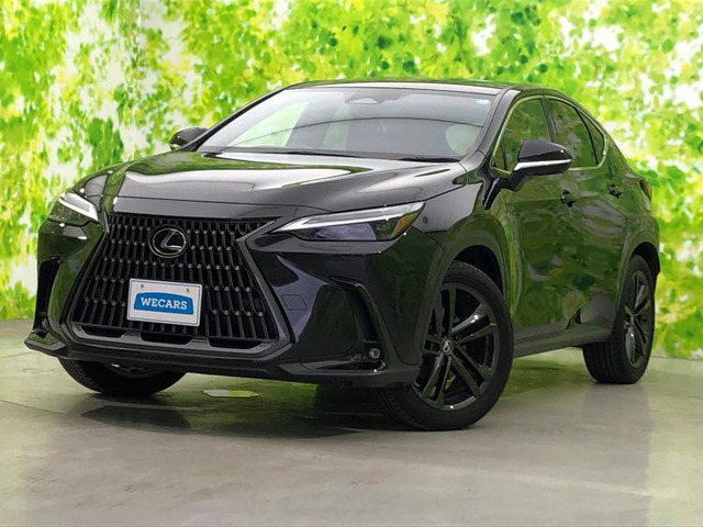 NX350h バージョンL