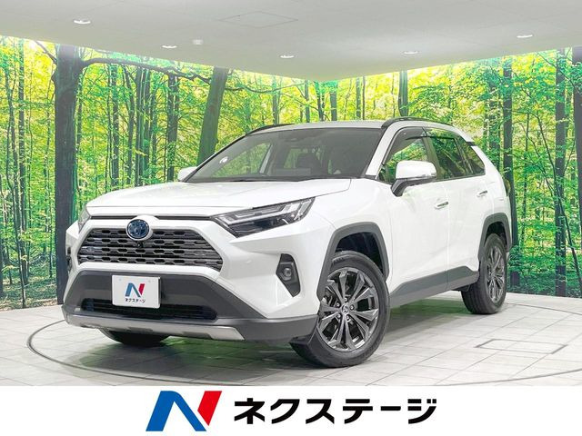 RAV42.5 ハイブリッド G E-Four 4WD