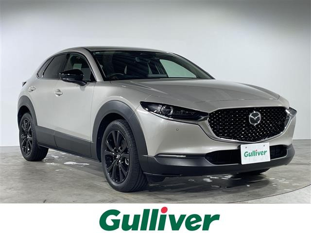 CX-302.0 20S ブラックトーンエディション