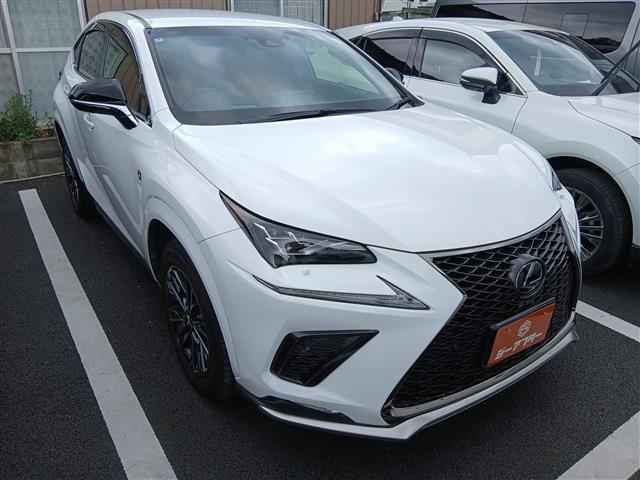 NX300 Fスポーツ 4WD