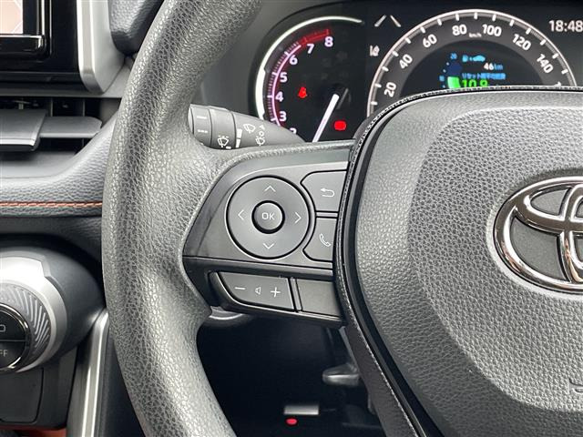 RAV42.0 アドベンチャー 4WD