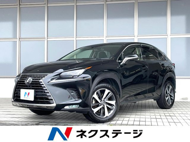 NX200t Iパッケージ