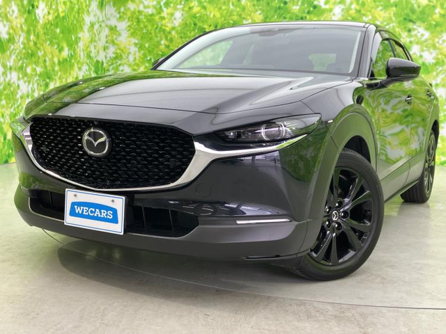 CX-301.8 XD ブラックトーンエディション 4WD