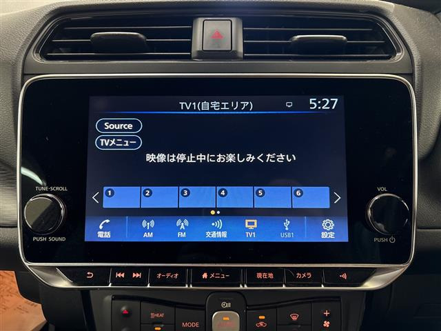 リーフe+ G