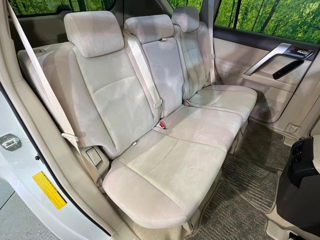 �㕔���Ȃ��C�ɂȂ�悤�ȃL�Y�E�����ւ��蓙�A�傫�ȃ_���[�W�͂Ȃ��A�ǍD�ȏ�Ԃł��B