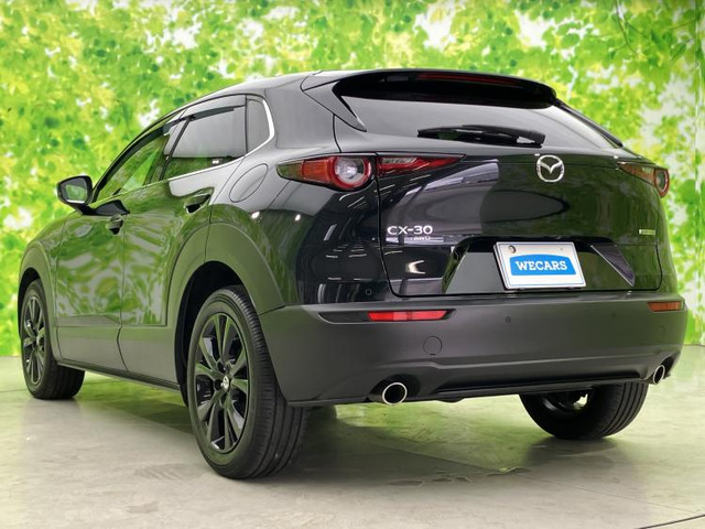 CX-301.8 XD ブラックトーンエディション 4WD