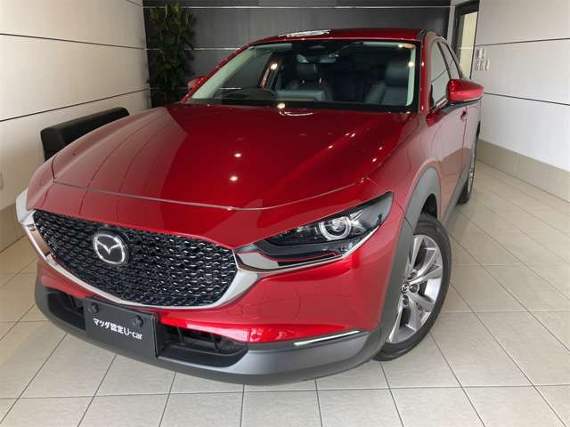 CX-301.8 XD プロアクティブ ツーリングセレクション 4WD
