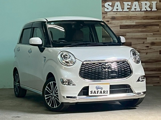 ピクシスジョイF G SAII