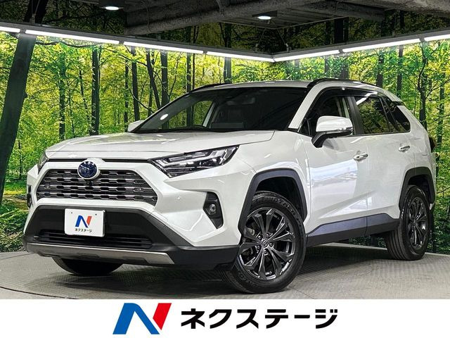 RAV42.5 ハイブリッド G E-Four 4WD