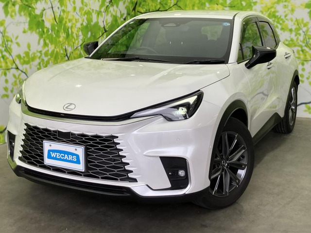 LBXリラックス E-Four 4WD