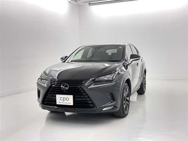 NX300 ブロンズ エディション
