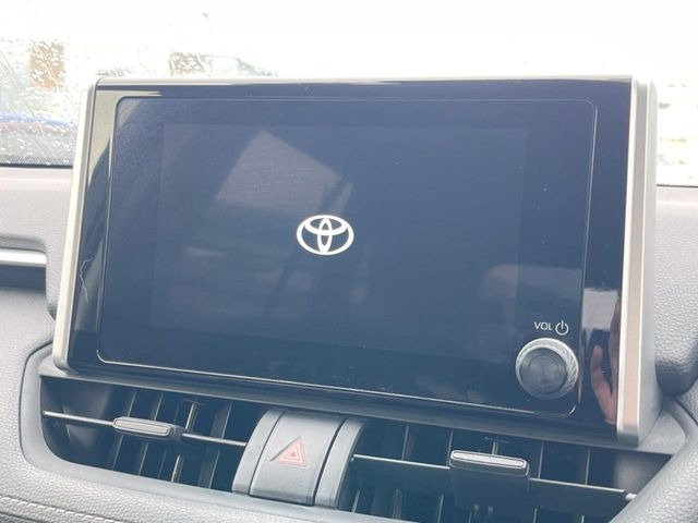 RAV42.0 X