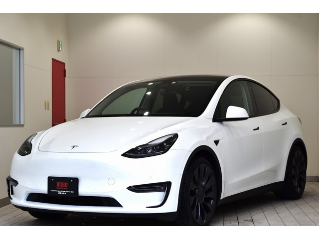 モデルY