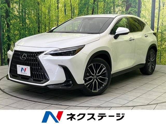 NX450hプラス バージョンL 4WD