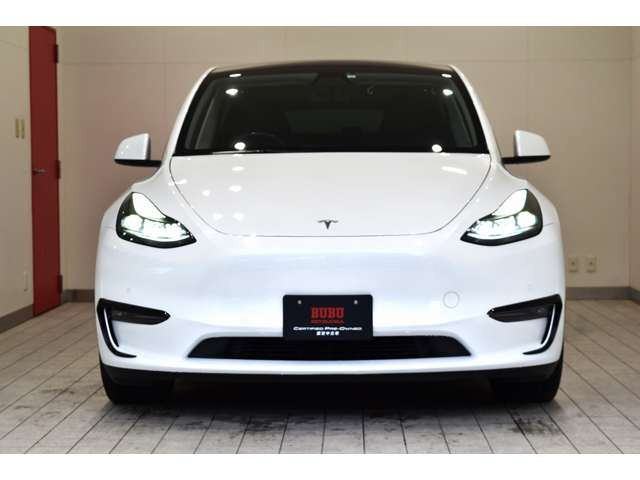 モデルY