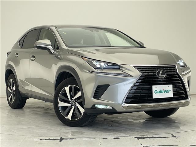 NX300h Iパッケージ