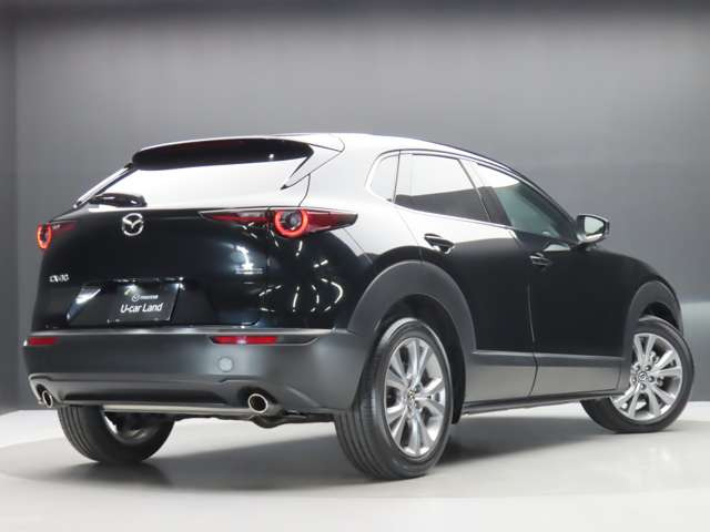CX-302.0 20S Sパッケージ