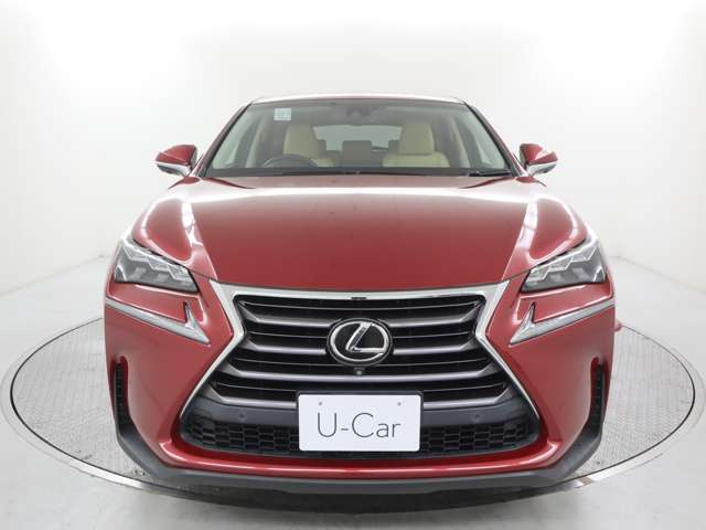 NX200t Iパッケージ