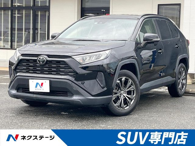 RAV42.0 X