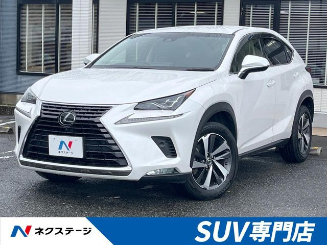 NX200t Iパッケージ