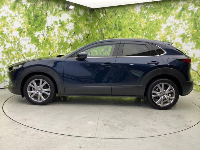 CX-301.8 XD Lパッケージ