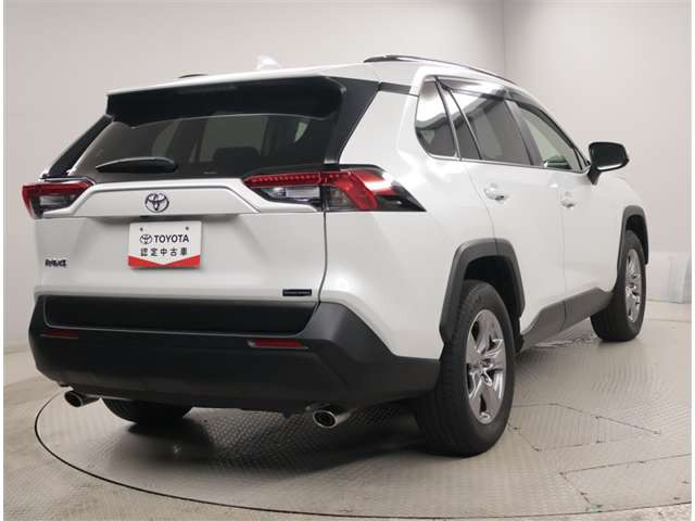 RAV42.0 X