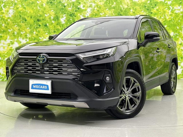 RAV42.5 ハイブリッド G E-Four 4WD