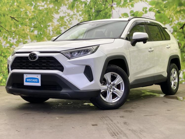 RAV42.0 X