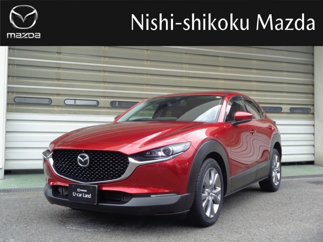 CX-301.8 XD Lパッケージ